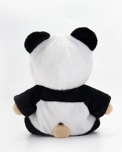 Pandy, o Filhote Carinhoso