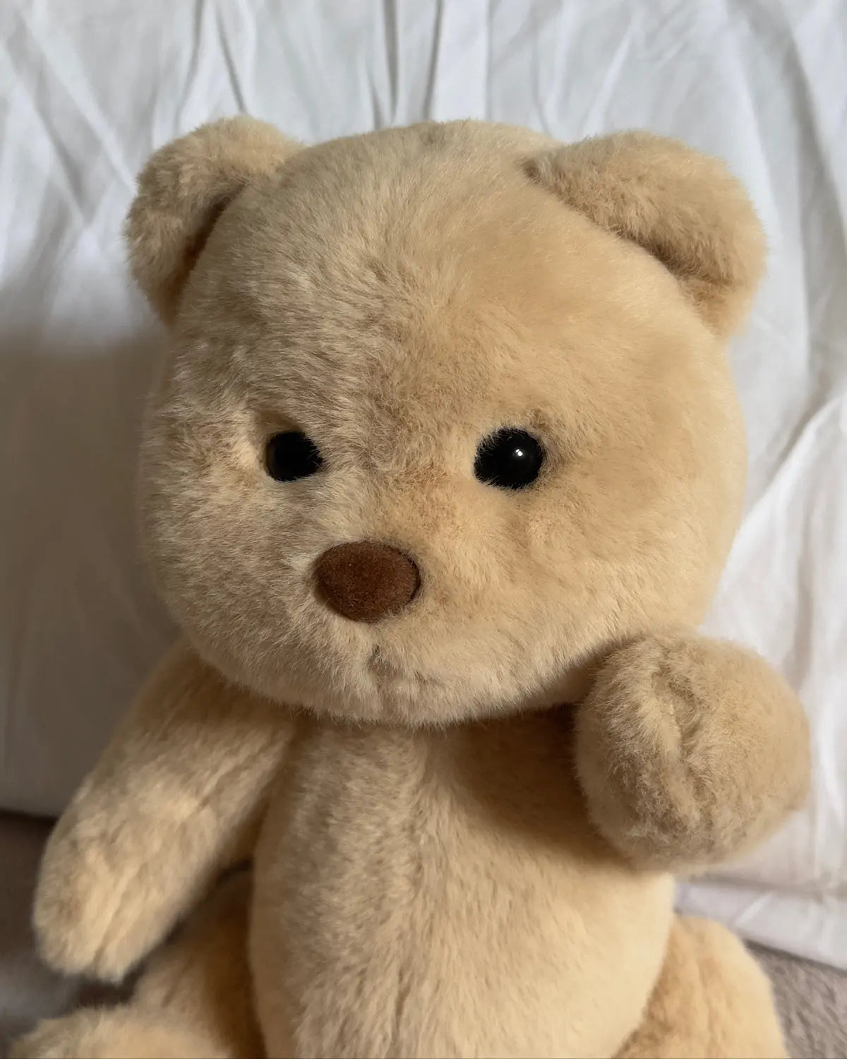 Sharky, o Corajoso Urso do Mar