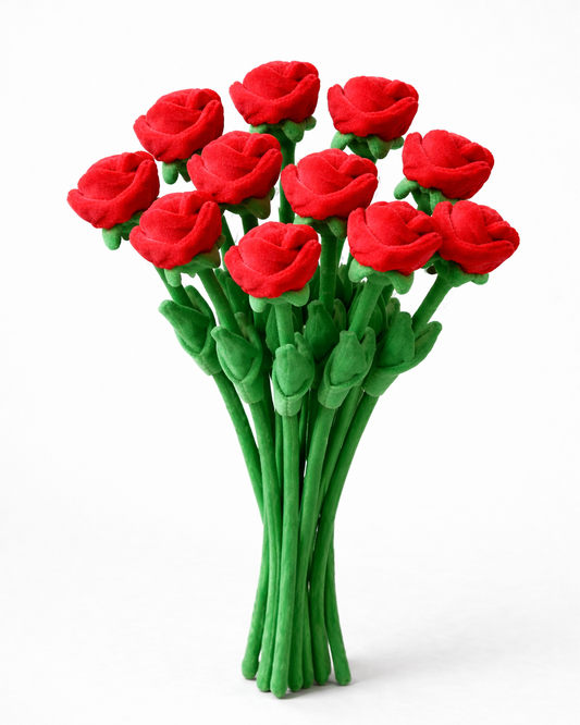 RAMO DE FLORES COM 10 ROSAS